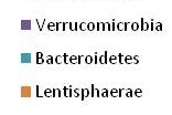 Diversita e stabilità del microbioma in diverse fasi della vita Si riducono i Bifidobacteria e aumentano i patobionti Il microbiota è dinamico e la diversità tende ad aumentare con l età I phylum