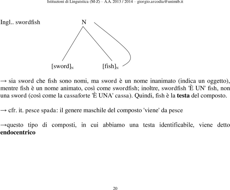 come la cassaforte 'È UNA' cassa). Quindi, fish è la testa del composto. cfr. it.