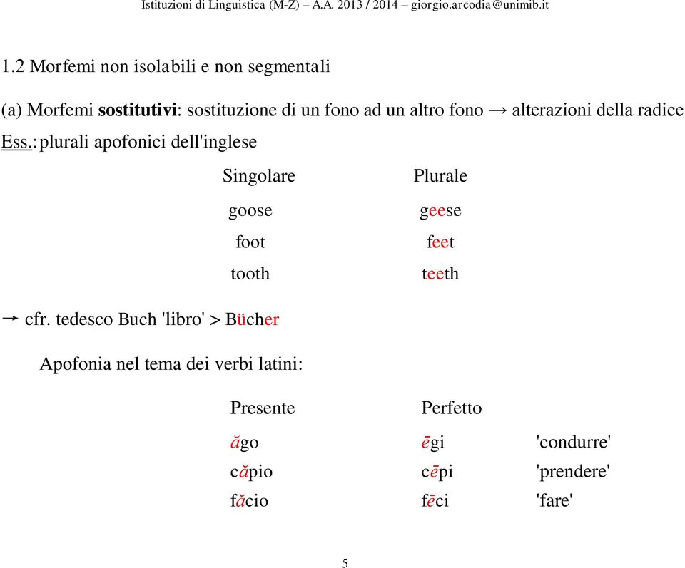 : plurali apofonici dell'inglese Singolare goose foot tooth Plurale geese feet teeth cfr.