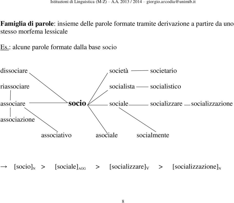 : alcune parole formate dalla base socio dissociare società societario riassociare socialista