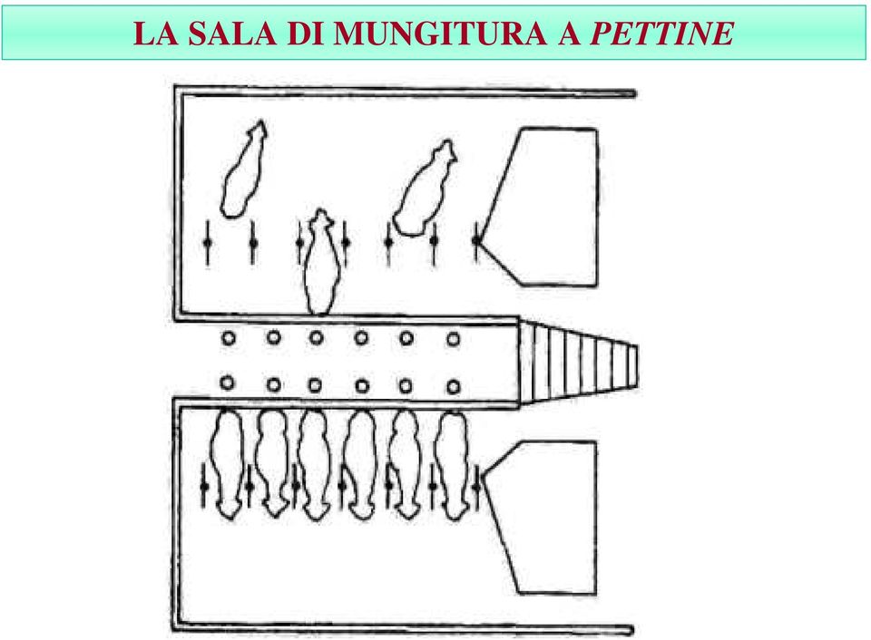 MUNGITURA