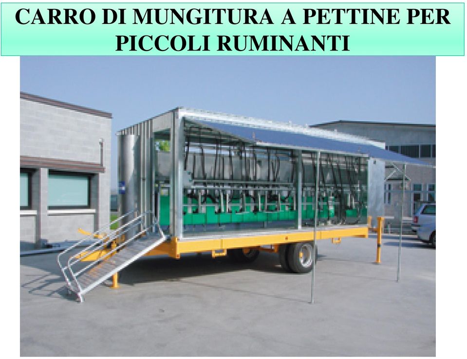 PETTINE PER