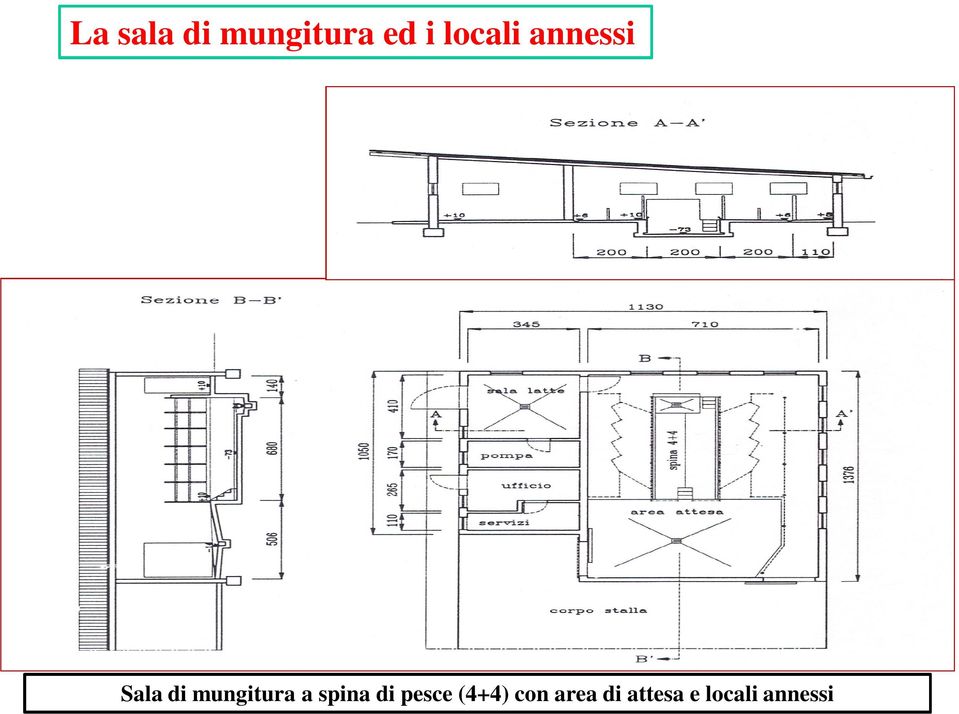 mungitura a spina di pesce