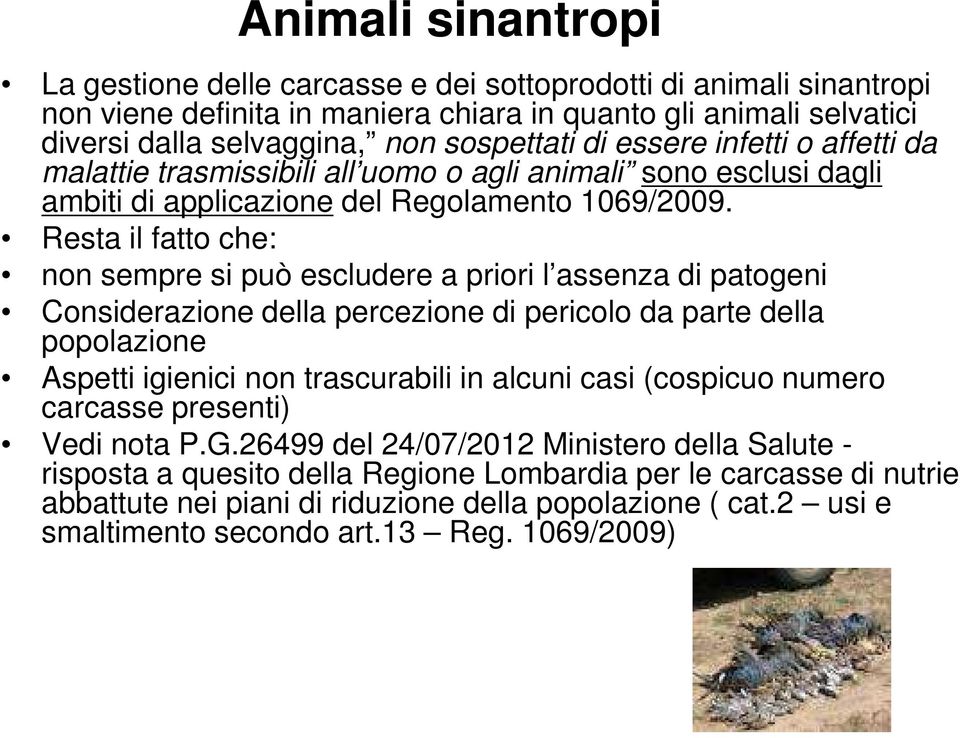 Resta il fatto che: non sempre si può escludere a priori l assenza di patogeni Considerazione della percezione di pericolo da parte della popolazione Aspetti igienici non trascurabili in alcuni casi