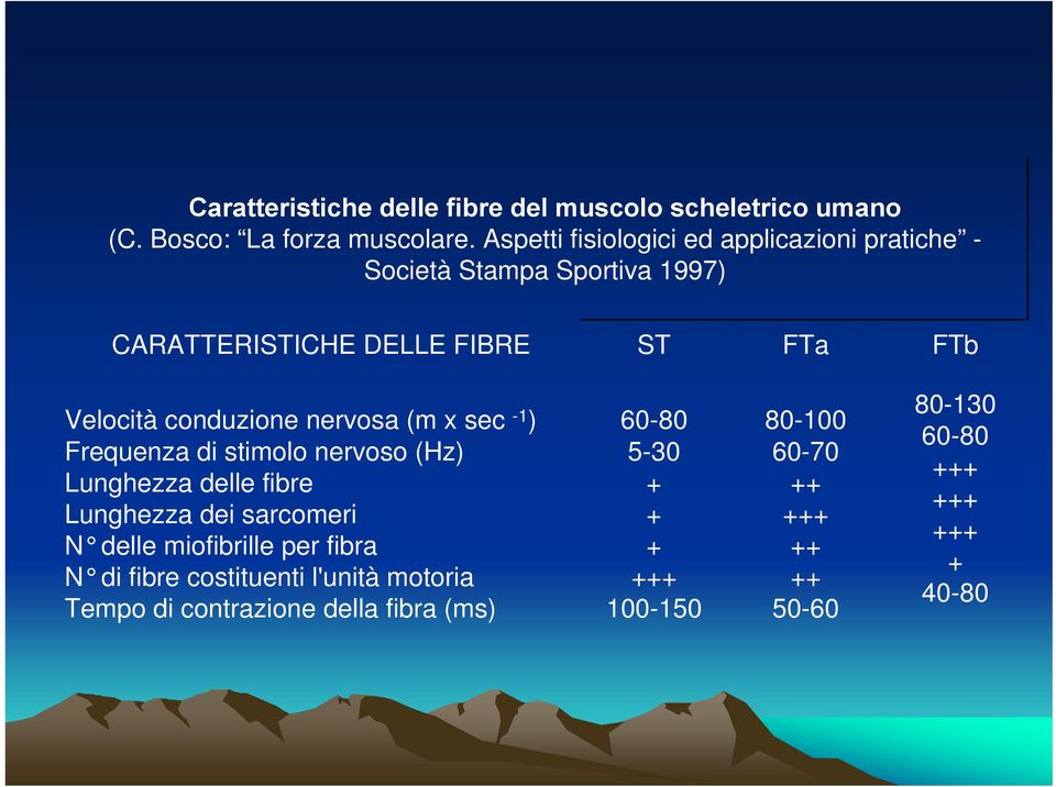 conduzione nervosa (m x sec -1 ) Frequenza di stimolo nervoso (Hz) Lunghezza delle fibre Lunghezza dei sarcomeri N delle