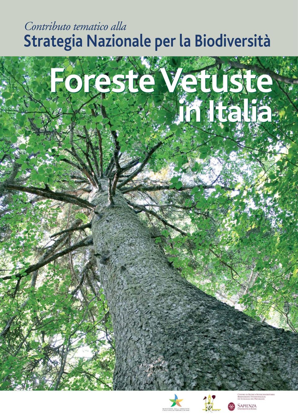 Biodiversità Foreste