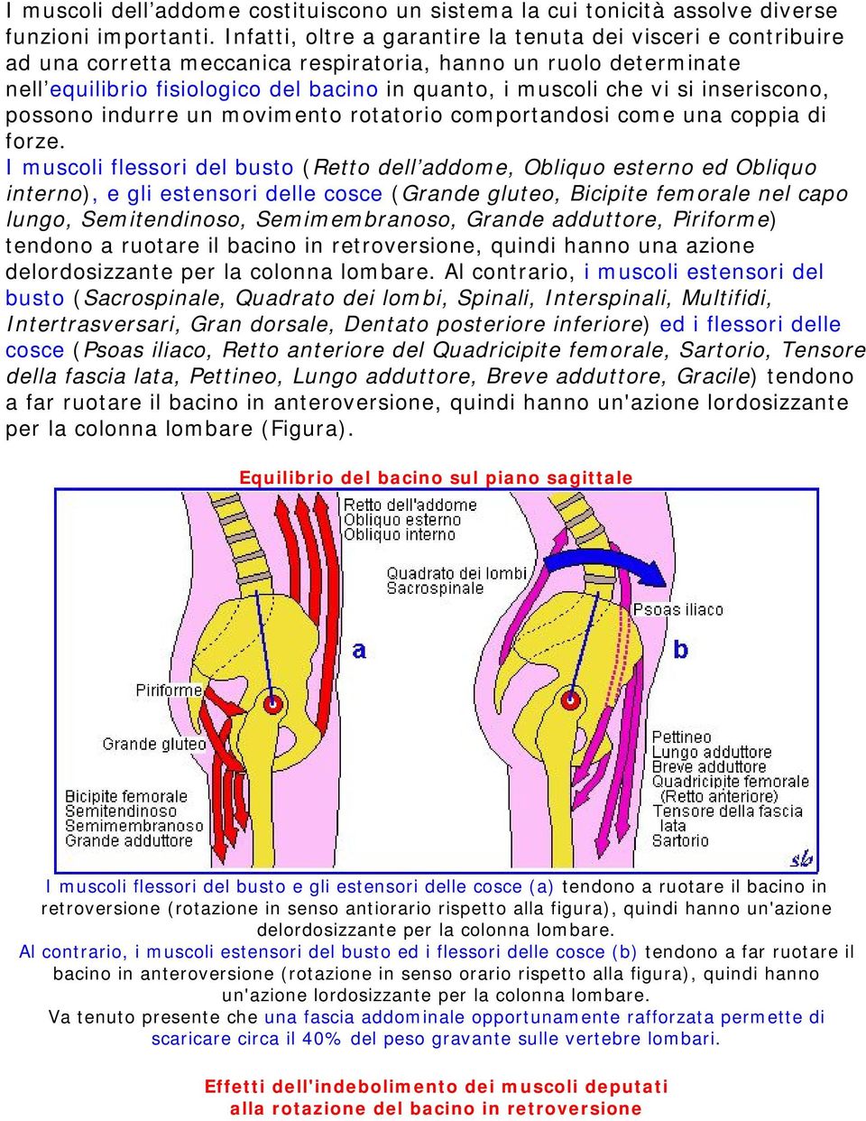 inseriscono, possono indurre un movimento rotatorio comportandosi come una coppia di forze.