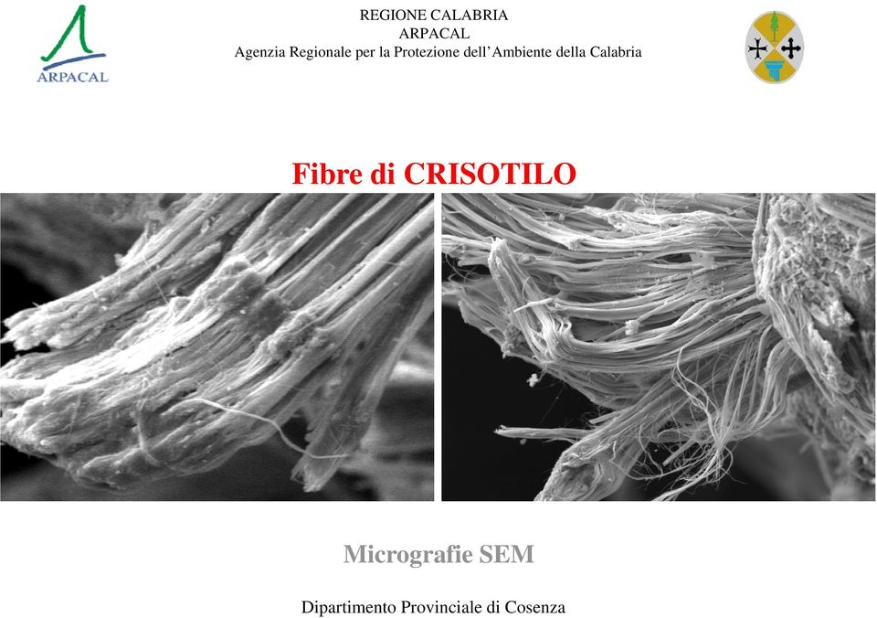 Micrografie SEM
