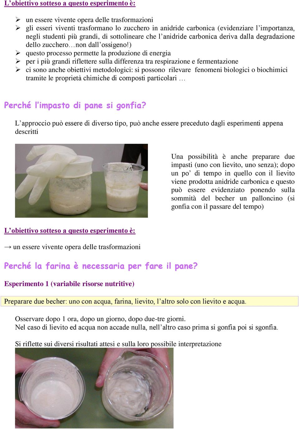 ) questo processo permette la produzione di energia per i più grandi riflettere sulla differenza tra respirazione e fermentazione ci sono anche obiettivi metodologici: si possono rilevare fenomeni