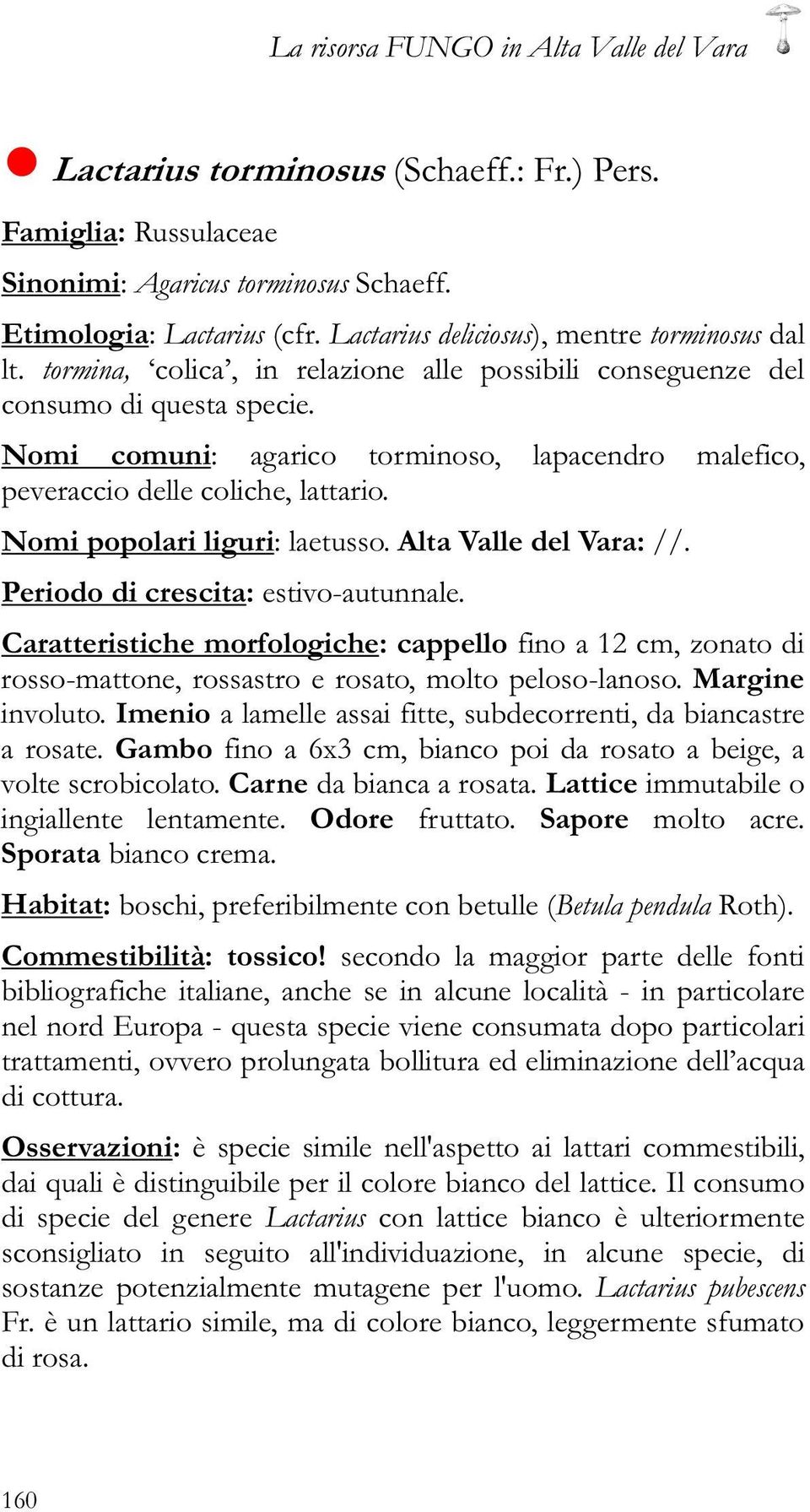 Nomi comuni: agarico torminoso, lapacendro malefico, peveraccio delle coliche, lattario. Nomi popolari liguri: laetusso. Alta Valle del Vara: //. Periodo di crescita: estivo-autunnale.