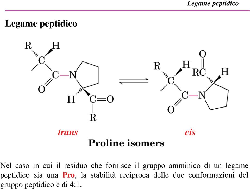 un legame peptidico sia una Pro, la stabilità