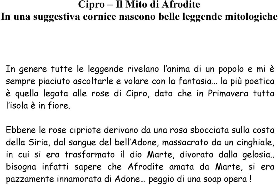 Ebbene le rose cipriote derivano da una rosa sbocciata sulla costa della Siria, dal sangue del bell Adone, massacrato da un