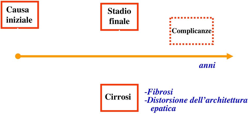 Cirrosi -Fibrosi