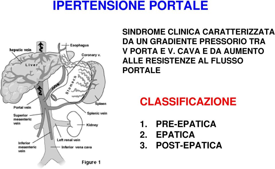 PORTA E V.