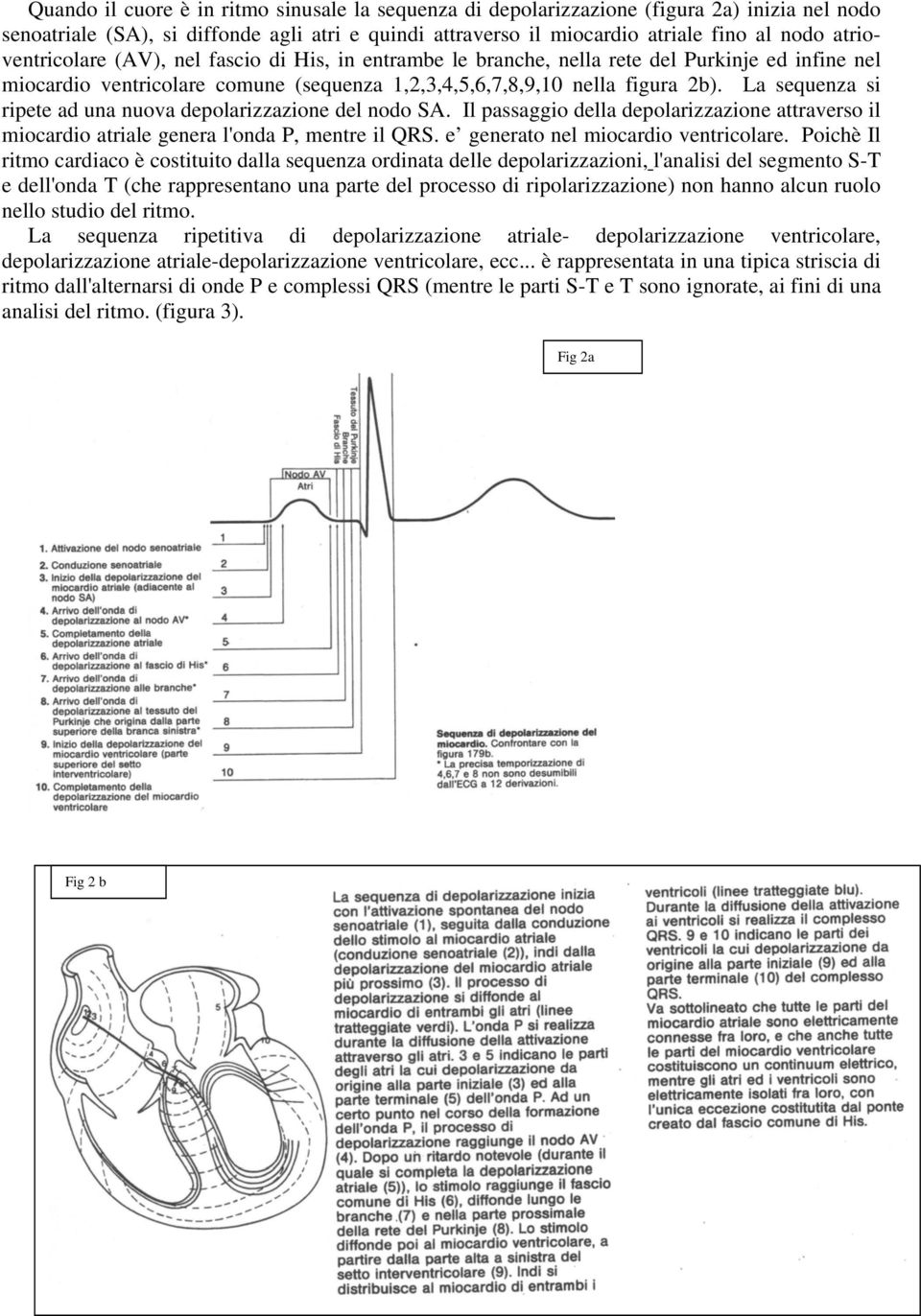 La sequenza si ripete ad una nuova depolarizzazione del nodo SA. Il passaggio della depolarizzazione attraverso il miocardio atriale genera l'onda P, mentre il QRS.