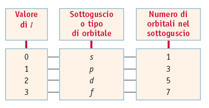 Gusci e sottogusci Gli elettroni che occupano orbitali con lo stesso valore di numero