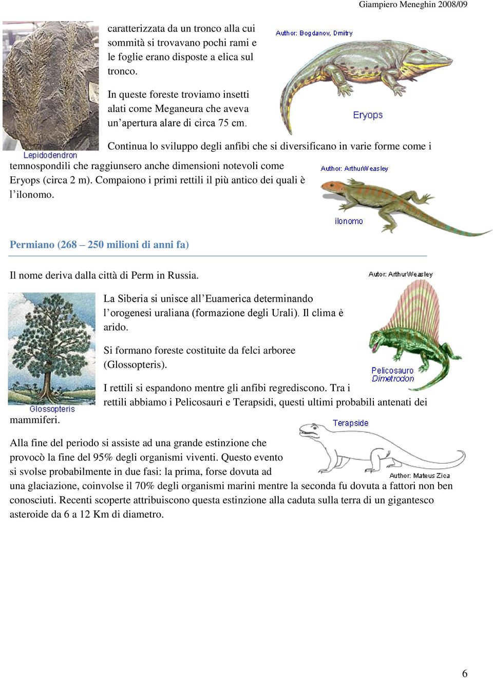 Continua lo sviluppo degli anfibi che si diversificano in varie forme come i temnospondili che raggiunsero anche dimensioni notevoli come Eryops (circa 2 m).