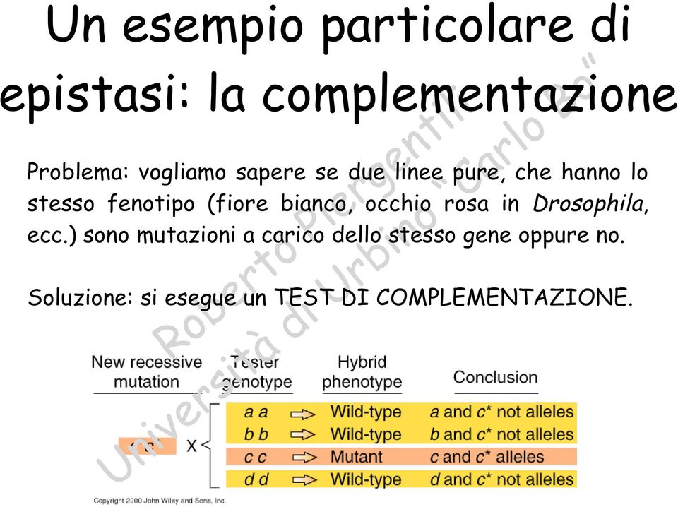 (fiore bianco, occhio rosa in Drosophila, ecc.