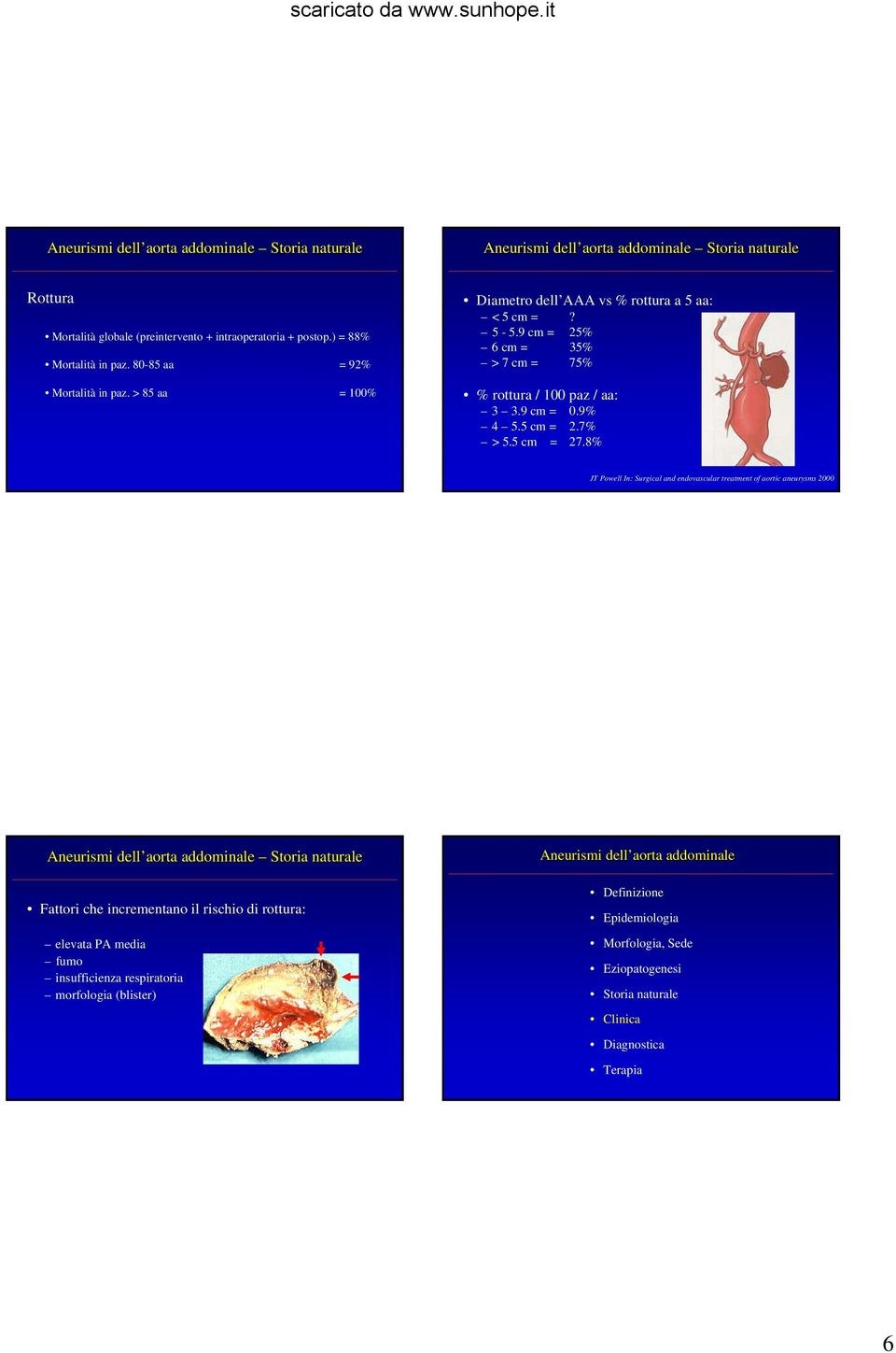 9 cm = 25% 6 cm = 35% > 7 cm = 75% % rottura / 100 paz / aa: 3 3.9 cm = 0.9% 4 5.5 cm = 2.7% > 5.5 cm = 27.