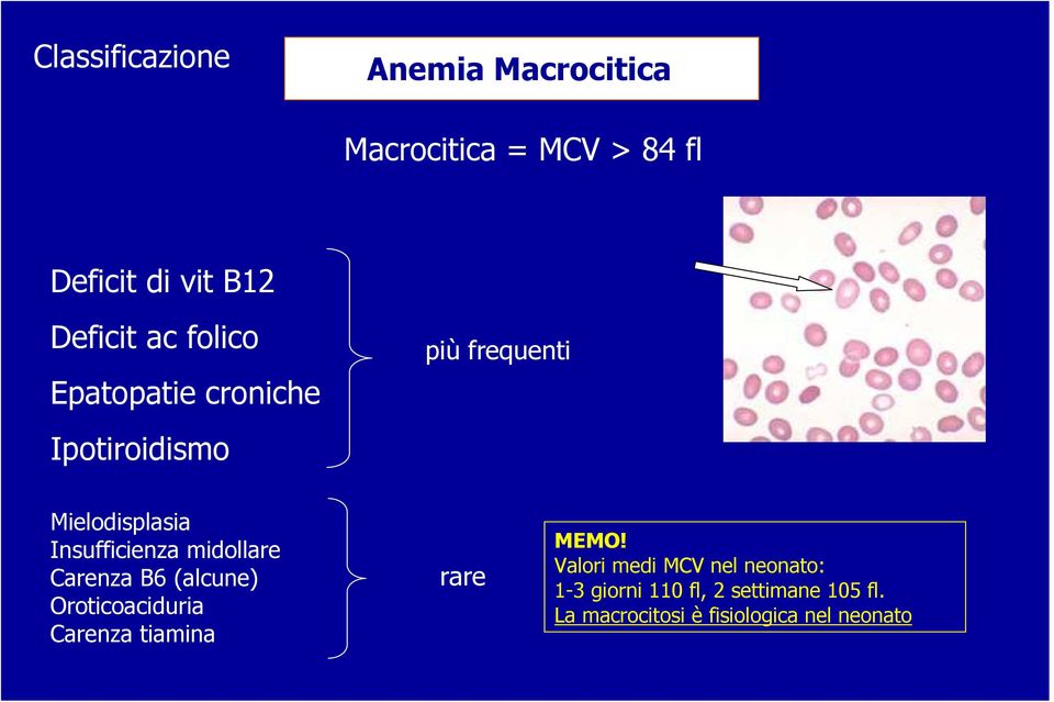 midollare Carenza B6 (alcune) Oroticoaciduria Carenza tiamina rare MEMO!