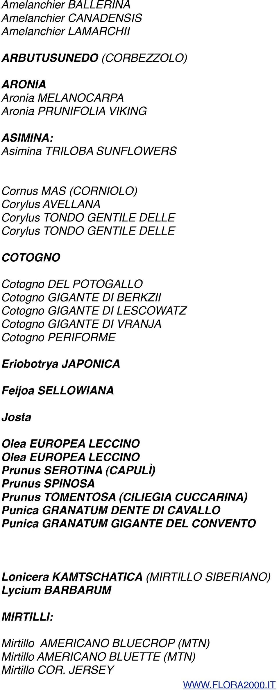 Cotogno PERIFORME Eriobotrya JAPONICA Feijoa SELLOWIANA Josta Olea EUROPEA LECCINO Olea EUROPEA LECCINO Prunus SEROTINA (CAPULÌ) Prunus SPINOSA Prunus TOMENTOSA (CILIEGIA CUCCARINA) Punica GRANATUM