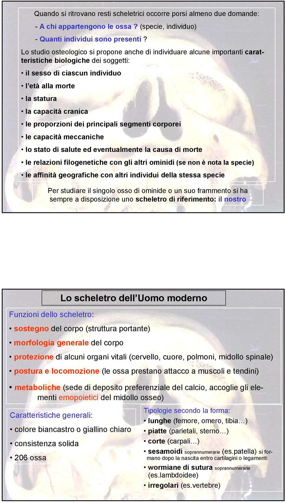 proporzioni dei principali segmenti corporei le capacità meccaniche lo stato di salute ed eventualmente la causa di morte le relazioni filogenetiche con gli altri ominidi (se non è nota la specie) le