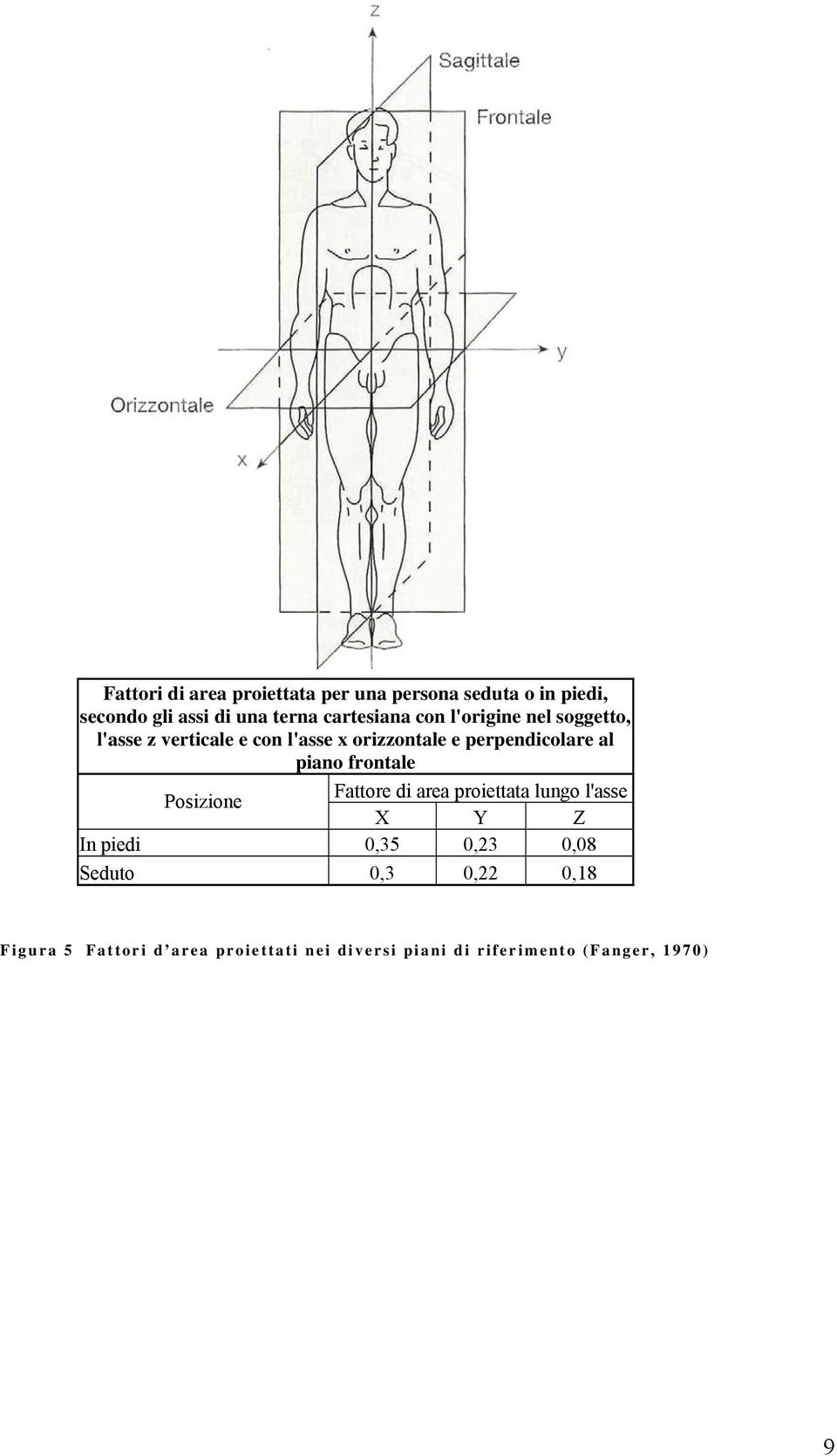 perpendicolare al piano frontale Posizione Fattore di area proiettata lungo l'asse X Y Z In piedi