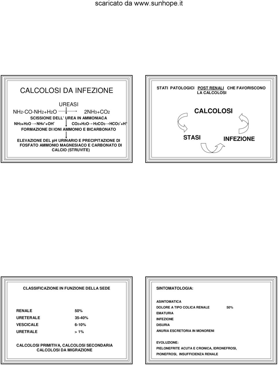 INFEZIONE CLASSIFICAZIONE IN FUNZIONE DELLA SEDE SINTOMATOLOGIA: RENALE 50% URETERALE 35-40% VESCICALE 6-10% URETRALE > 1% CALCOLOSI PRIMITIVA, CALCOLOSI SECONDARIA CALCOLOSI DA