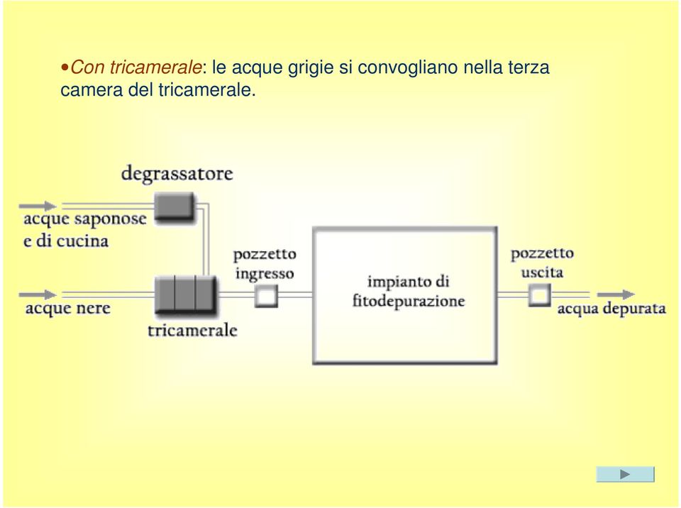 convogliano nella