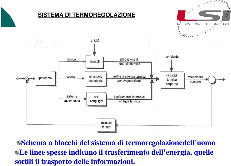 linee spesse indicano il trasferimento dell