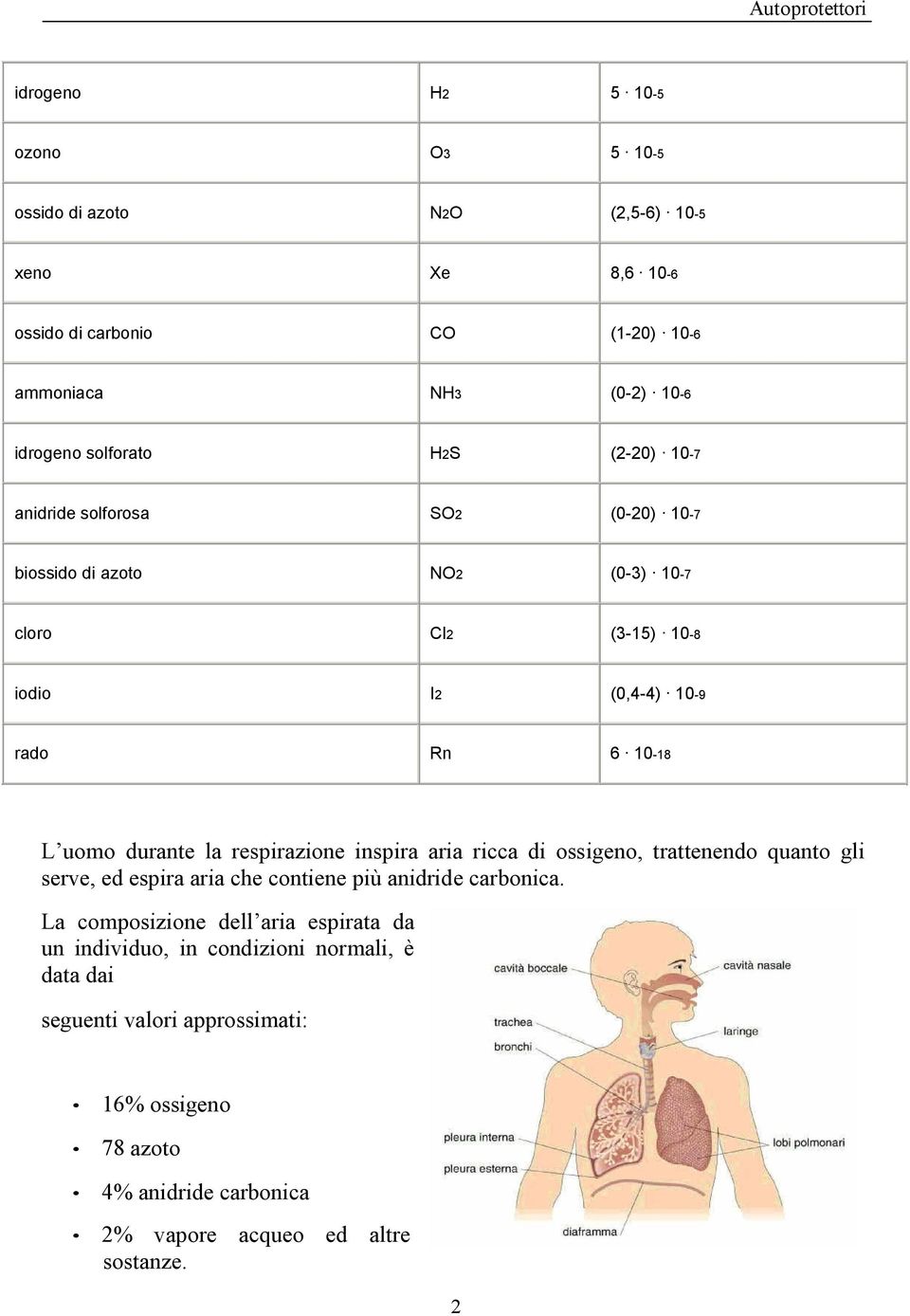 durante la respirazione inspira aria ricca di ossigeno, trattenendo quanto gli serve, ed espira aria che contiene più anidride carbonica.