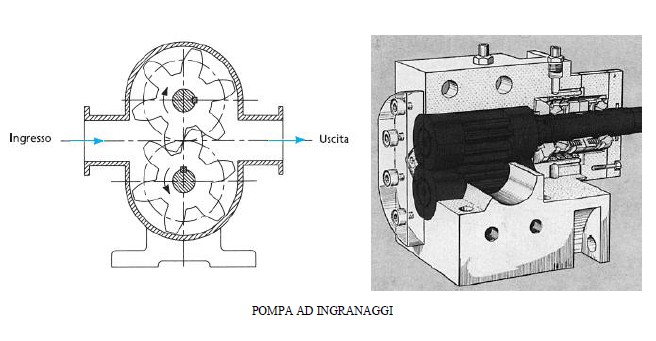 Pompe rotative POMPE ROTATIVE Sono caratterizzate da un rotore o più organi che si muovono di moto rotatorio intorno all asse, facendo tenuta fra