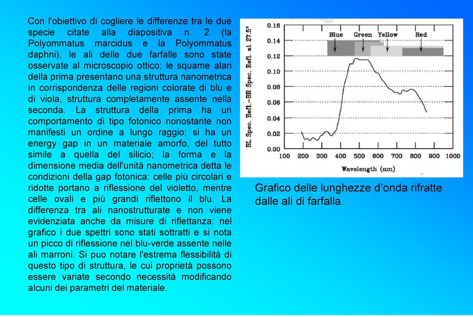 corrispondenza delle regioni colorate di blu e di viola, struttura completamente assente nella seconda.