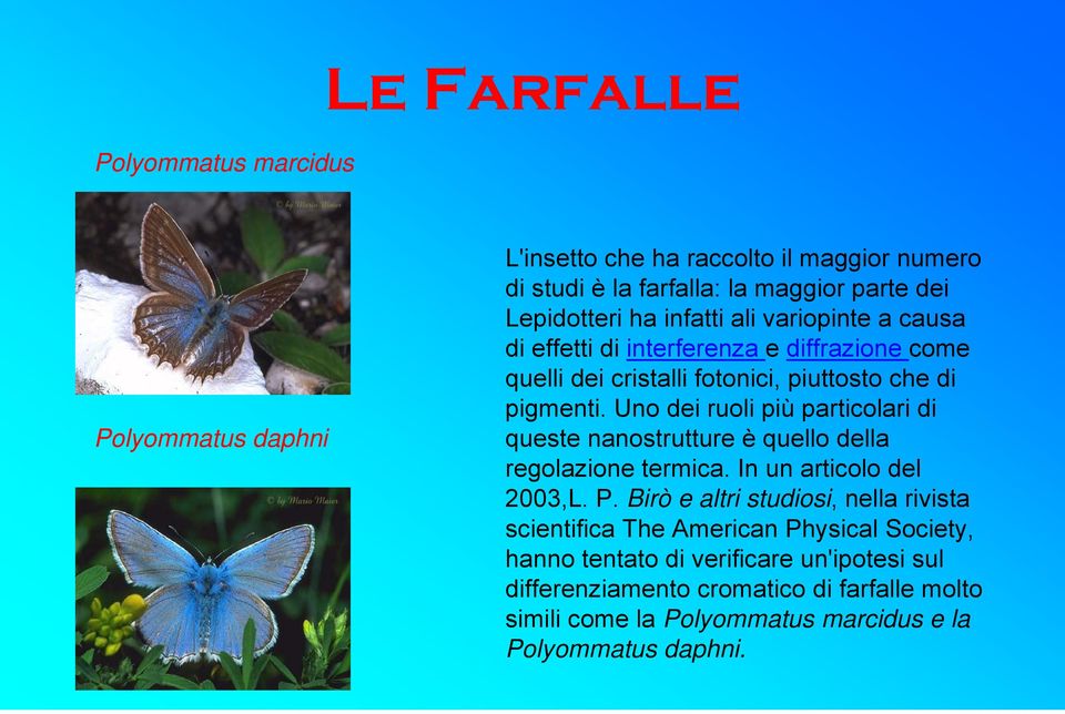 Uno dei ruoli più particolari di queste nanostrutture è quello della regolazione termica. In un articolo del 2003,L. P.