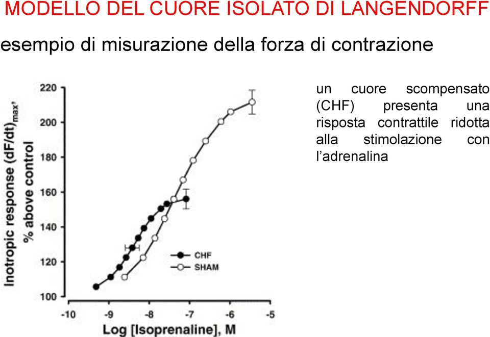 cuore scompensato (CHF) presenta una risposta