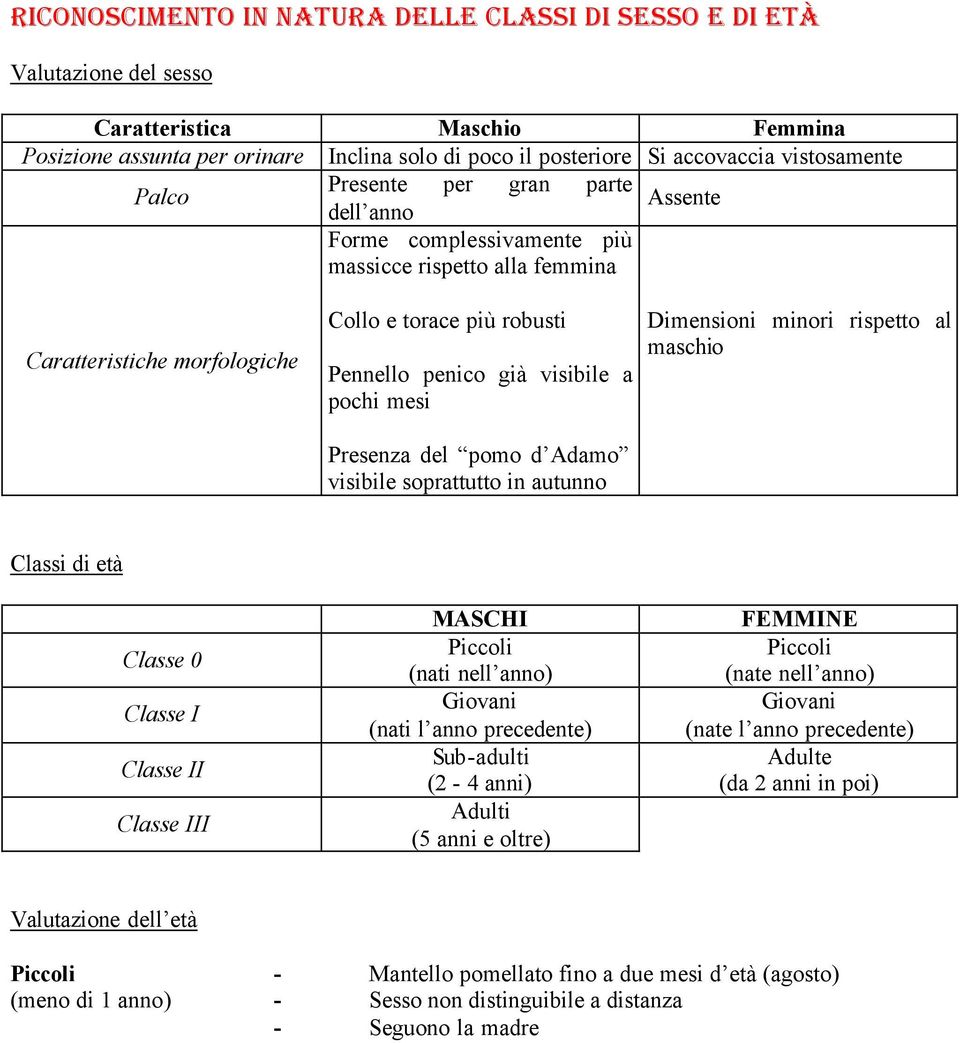 visibile a pochi mesi Presenza del pomo d Adamo visibile soprattutto in autunno Dimensioni minori rispetto al maschio Classi di età Classe 0 Classe I Classe II Classe III MASCHI Piccoli (nati nell