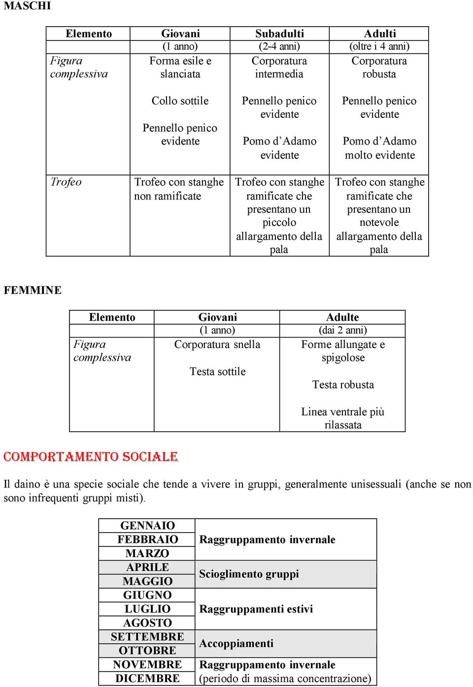 piccolo allargamento della pala Trofeo con stanghe ramificate che presentano un notevole allargamento della pala FEMMINE Elemento Giovani Adulte (1 anno) (dai 2 anni) Figura complessiva Corporatura