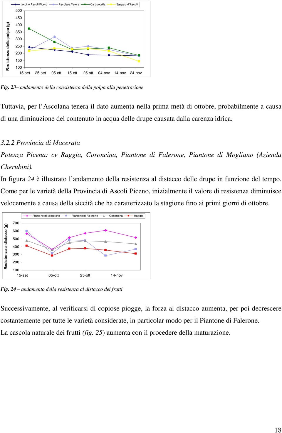 acqua delle drupe causata dalla carenza idrica. 3.. Provincia di Macerata Potenza Picena: cv Raggia, Coroncina, Piantone di Falerone, Piantone di Mogliano (Azienda Cherubini).