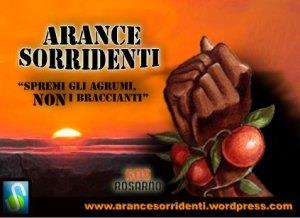 Il prezzo delle arance Anche quest anno ritornano gli agrumi solidali con la campagna ARANCE SORRIDENTI Spremi gli agrumi, non i braccianti a Cosenza. 1,23 al kg. Arance biologiche.