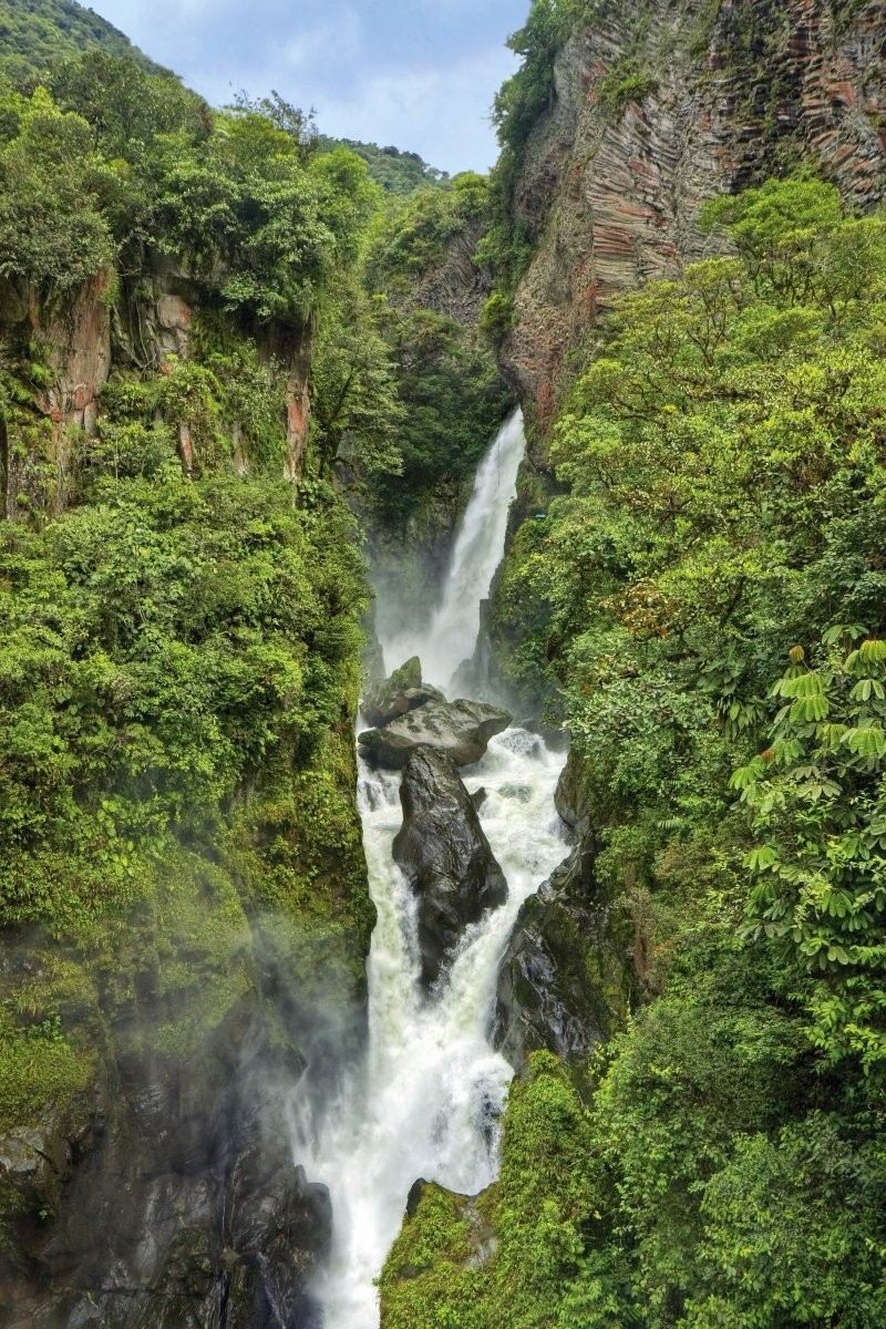 ECUADOR AMAZZONIA E GALAPAGOS TOUR : 17 Giorni