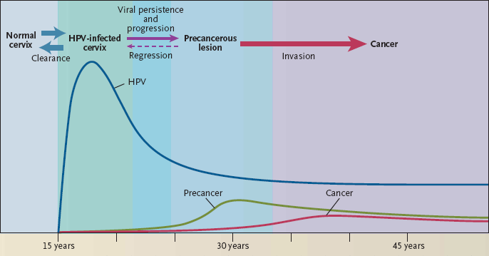 Tratto da:the Promis of Global Cervical Cancer Prevention Mark Schiffman, Philip E Castle et al. New.Engl.J.