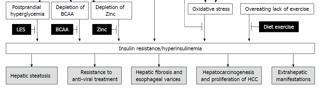 HCV-associated insulin resistance: therapeutic strategies