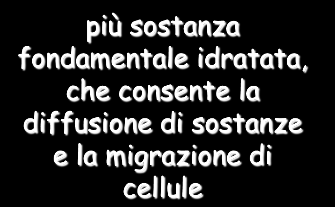 connessione meccanica più fibre proteiche, che conferiscono stabilità e robustezza connessione