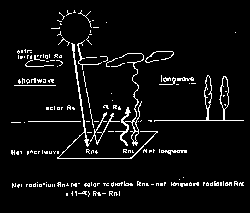 Radiazione netta e radiazione infrarossa ad onda