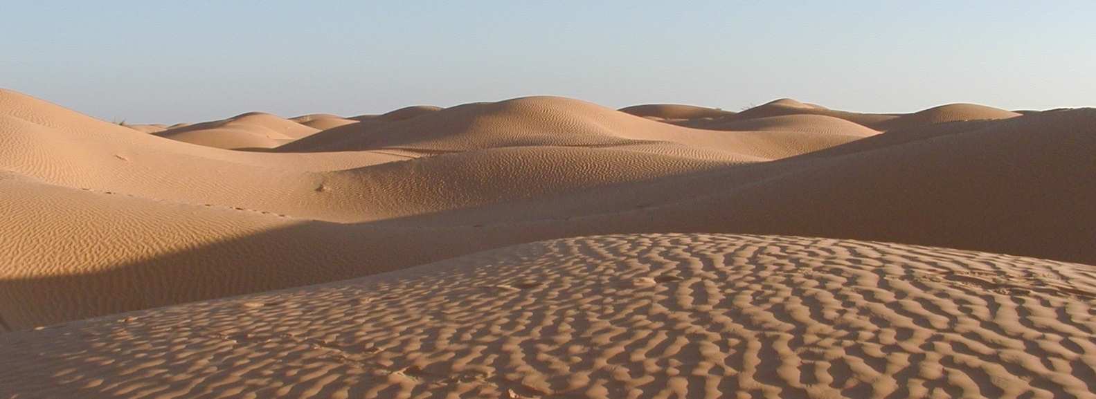 (usare rocce reali) porfido 1 sabbia del Sahara 2 sabbia del M. Adriatico 3 granito 4 Osservando con la lente di ingrandimento, abbiamo visto granuli di forma, colore e dimensioni diverse.