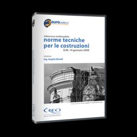 ESISTONO GARANZIE PRESTAZIONALI SUI PRODOTTI A BASE DI LEGNO? Le Norme Tecniche per le Costruzioni (NTC) Con l approvazione del D. L. n.