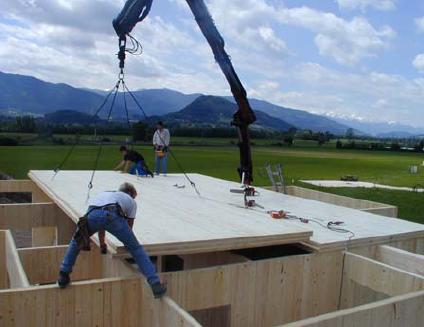 ESISTONO GARANZIE PRESTAZIONALI SUI PRODOTTI A BASE DI LEGNO?