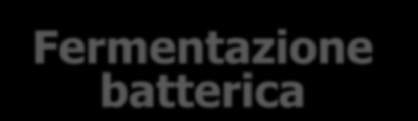 Fermentazione batterica del ph intraluminale Produzione di gas (H 2, CH 4, CO 2 ) (eliminati con le feci o per via