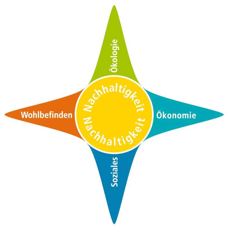 supporto (interno): conforme al livello di qualità 1, 2, 3 e 4 - esente da solventi e da solventi aromatici (conf. VdL-RL01) Valori sul bilancio ecologico specifici del prodotto (ENV 1.1 e ENV 2.