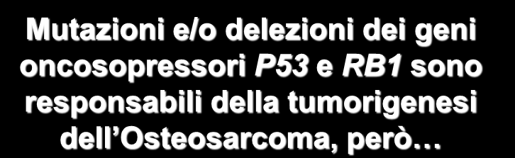 Genetica dell osteosarcoma Mutazioni e/o delezioni dei geni oncosopressori P53 e RB1 sono responsabili della tumorigenesi dell